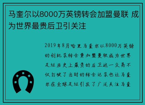 马奎尔以8000万英镑转会加盟曼联 成为世界最贵后卫引关注 马奎尔以8000万英镑转会加盟曼联 成为世界最贵后卫引关注